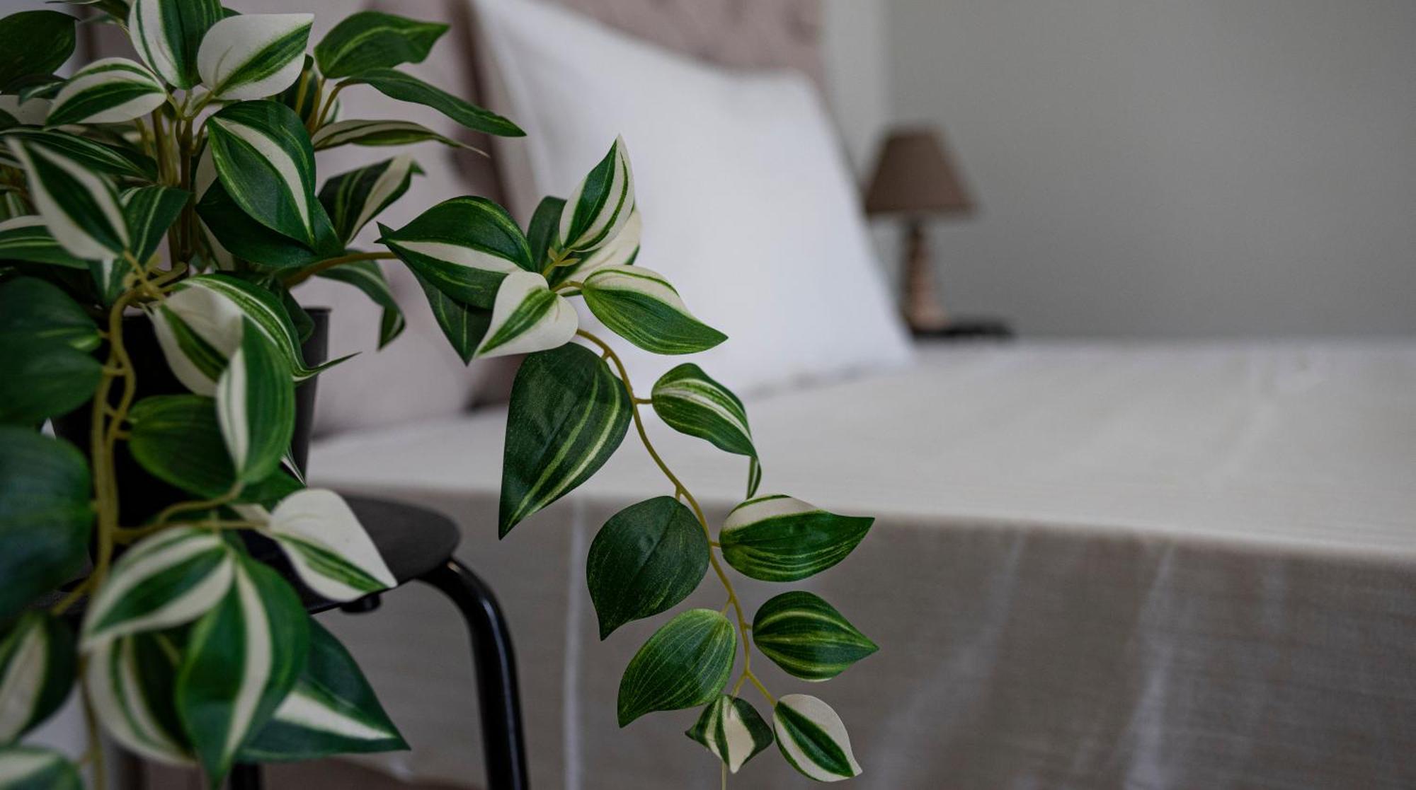 Nikitas Apartments & Suites カナリ エクステリア 写真